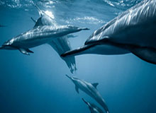 星空体育app下载：点亮你训练的每一个夜晚，开启全新健康生活